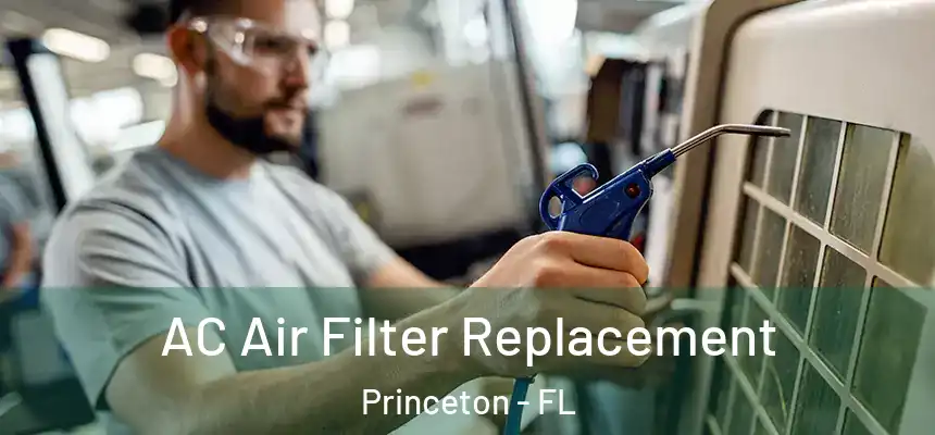 AC Air Filter Replacement Princeton - FL