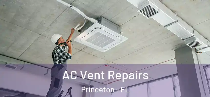 AC Vent Repairs Princeton - FL