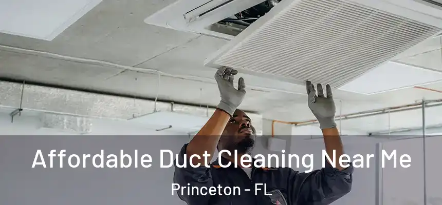 Affordable Duct Cleaning Near Me Princeton - FL