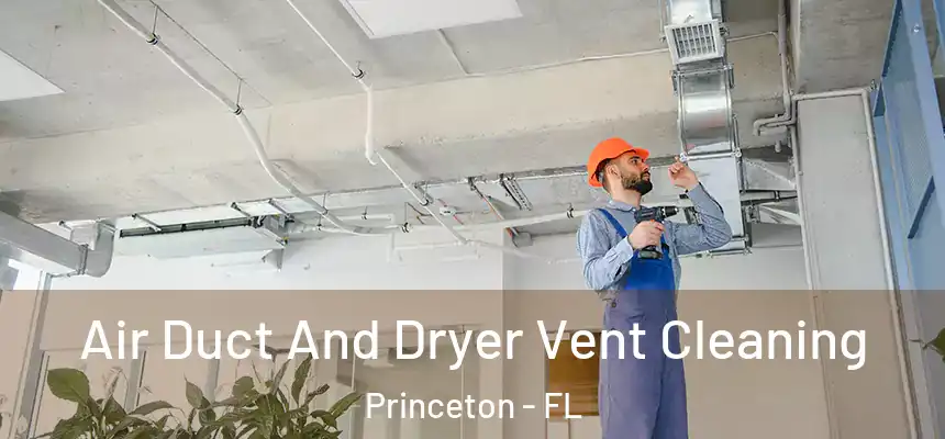 Air Duct And Dryer Vent Cleaning Princeton - FL