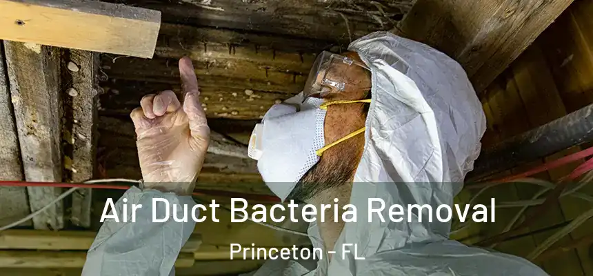 Air Duct Bacteria Removal Princeton - FL