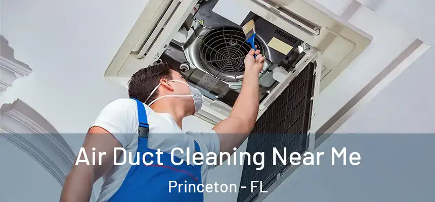 Air Duct Cleaning Near Me Princeton - FL