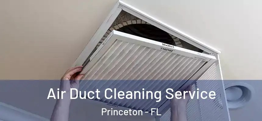 Air Duct Cleaning Service Princeton - FL