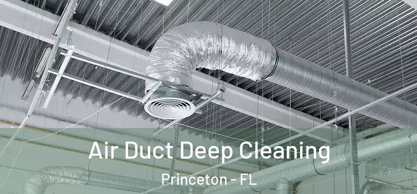  Air Duct Deep Cleaning Princeton - FL