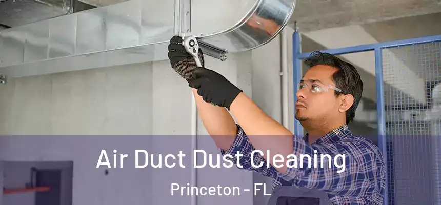 Air Duct Dust Cleaning Princeton - FL