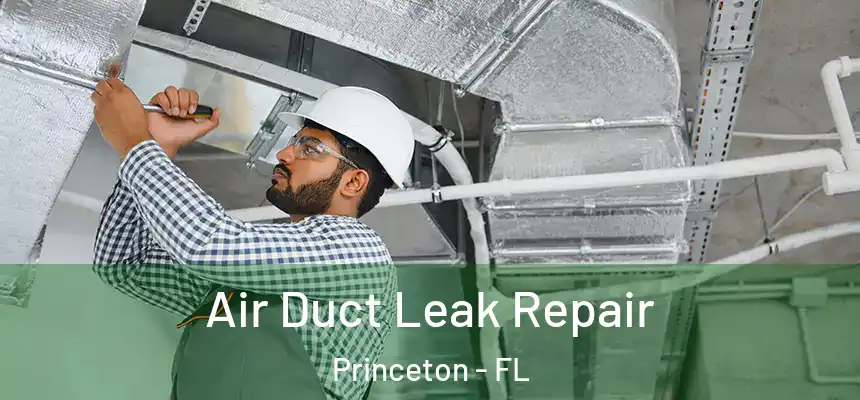 Air Duct Leak Repair Princeton - FL