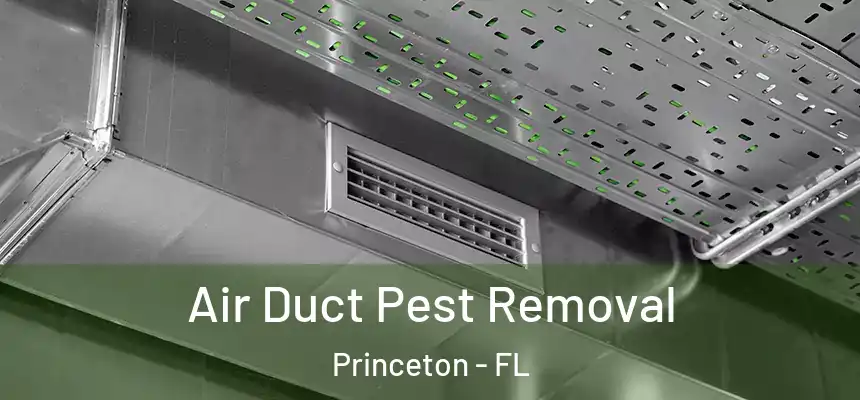 Air Duct Pest Removal Princeton - FL
