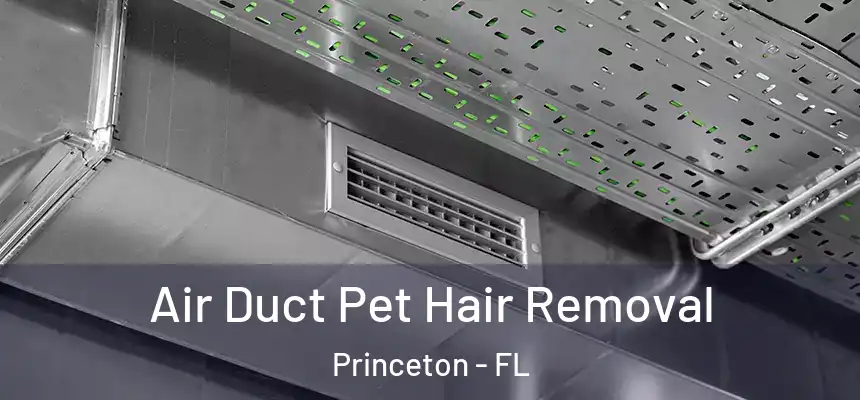 Air Duct Pet Hair Removal Princeton - FL