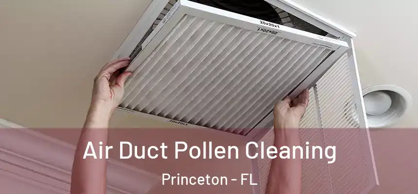 Air Duct Pollen Cleaning Princeton - FL