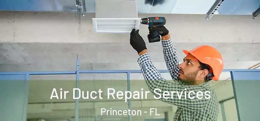 Air Duct Repair Services Princeton - FL