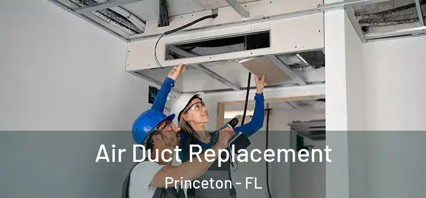  Air Duct Replacement Princeton - FL