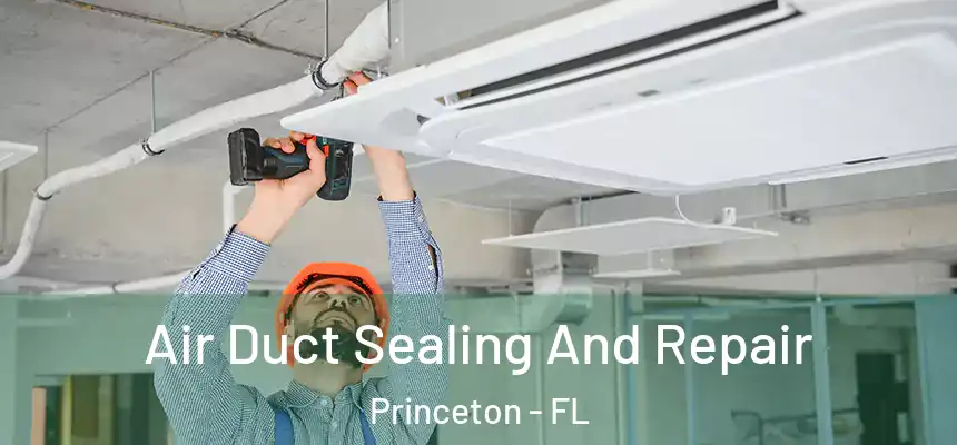 Air Duct Sealing And Repair Princeton - FL