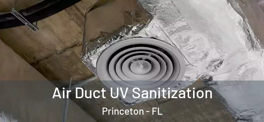 Air Duct UV Sanitization Princeton - FL