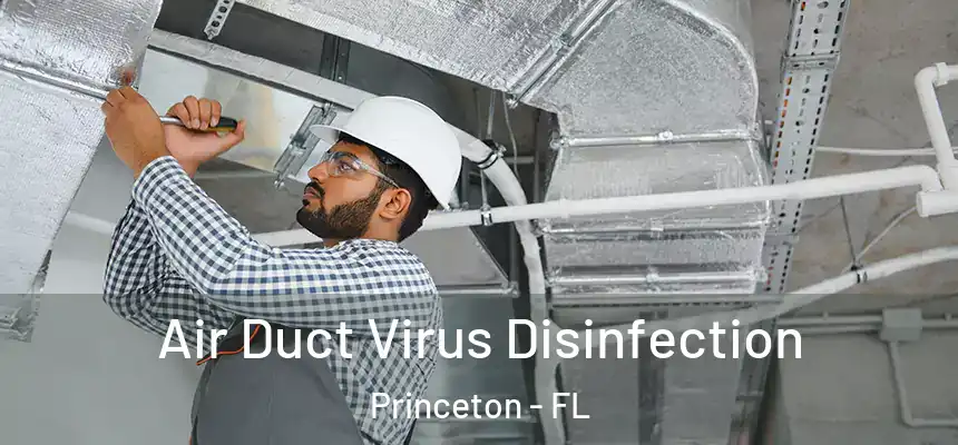 Air Duct Virus Disinfection Princeton - FL