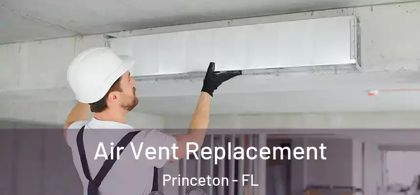Air Vent Replacement Princeton - FL