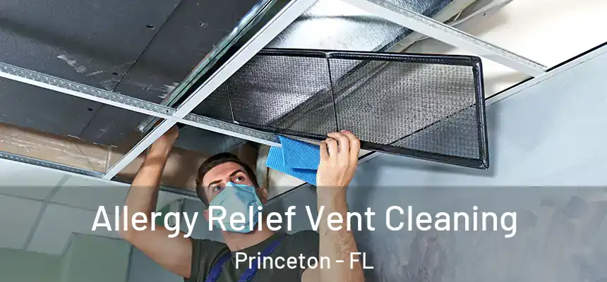  Allergy Relief Vent Cleaning Princeton - FL