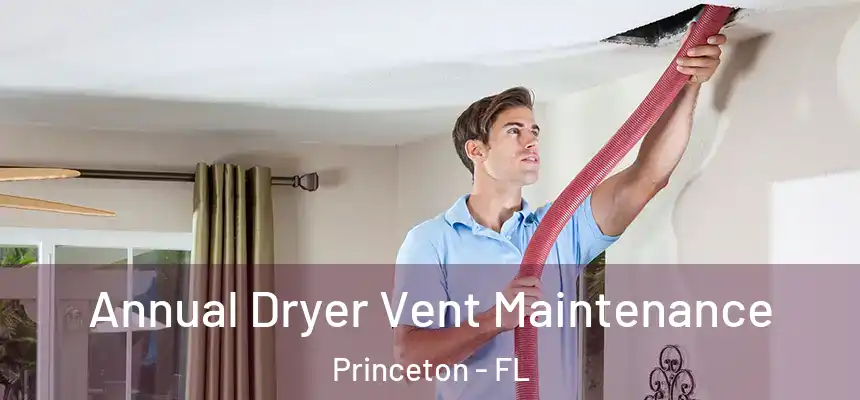  Annual Dryer Vent Maintenance Princeton - FL