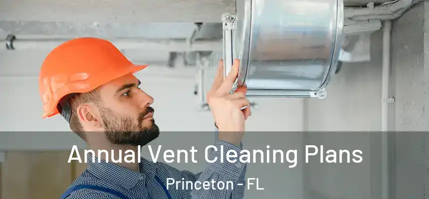  Annual Vent Cleaning Plans Princeton - FL