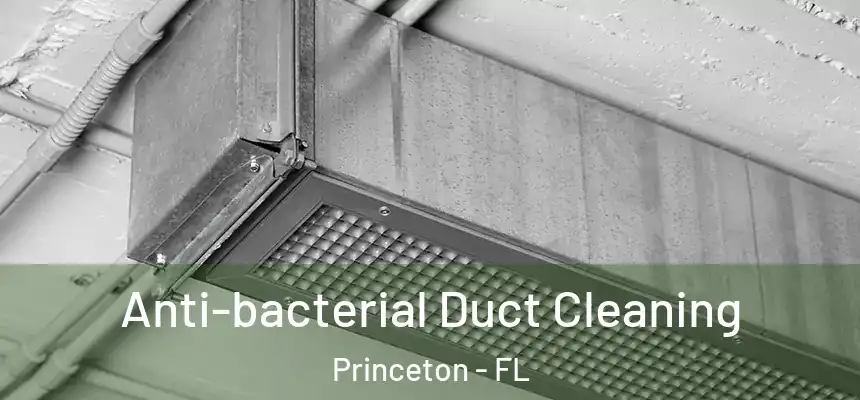 Anti-bacterial Duct Cleaning Princeton - FL