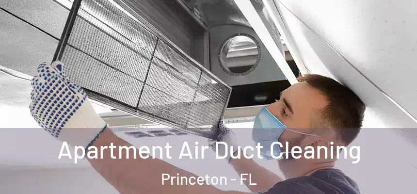 Apartment Air Duct Cleaning Princeton - FL