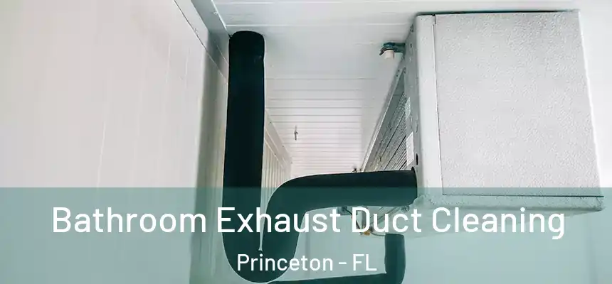 Bathroom Exhaust Duct Cleaning Princeton - FL