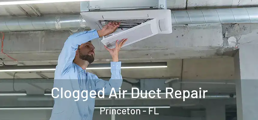 Clogged Air Duct Repair Princeton - FL