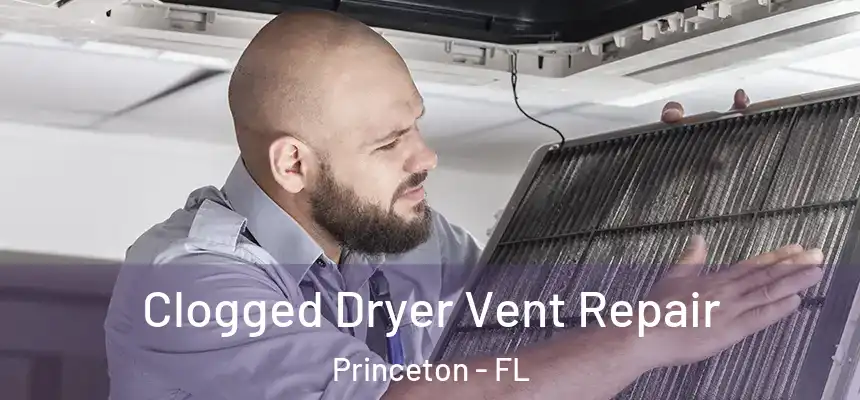  Clogged Dryer Vent Repair Princeton - FL