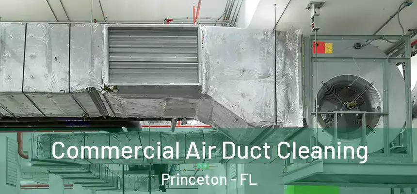 Commercial Air Duct Cleaning Princeton - FL
