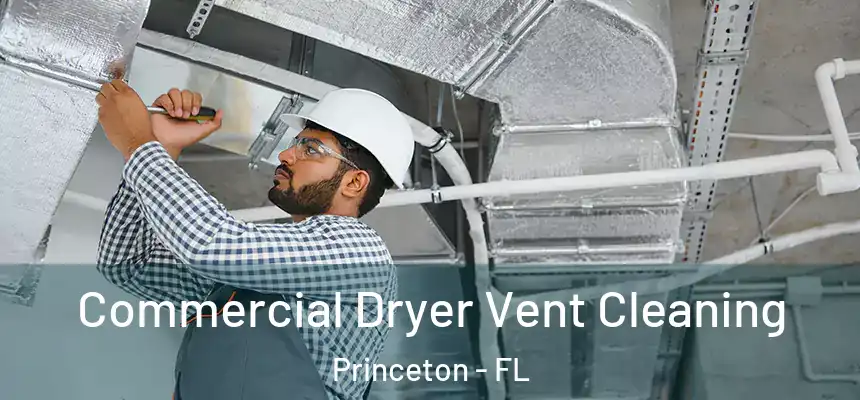 Commercial Dryer Vent Cleaning Princeton - FL