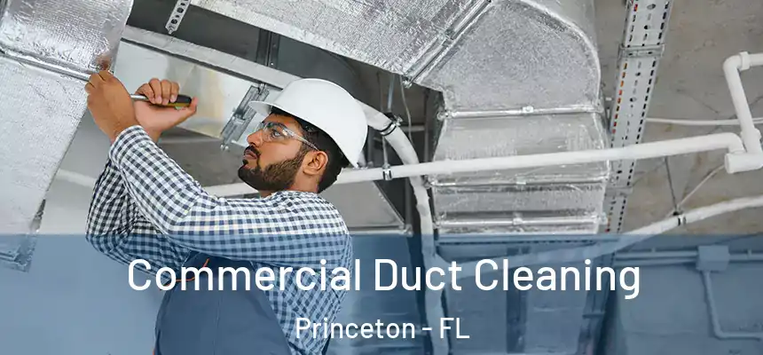 Commercial Duct Cleaning Princeton - FL