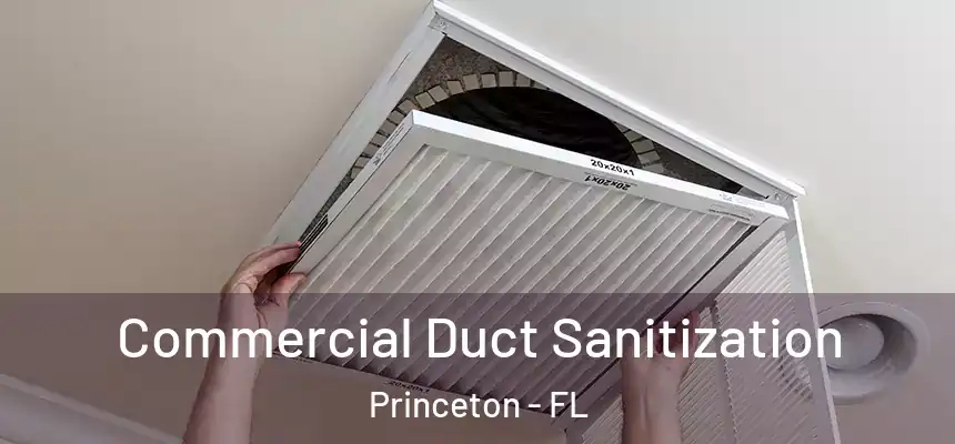  Commercial Duct Sanitization Princeton - FL