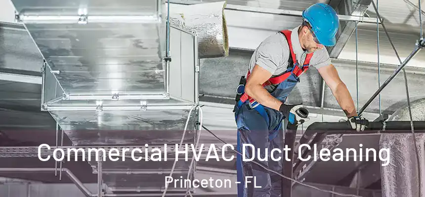 Commercial HVAC Duct Cleaning Princeton - FL