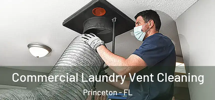 Commercial Laundry Vent Cleaning Princeton - FL