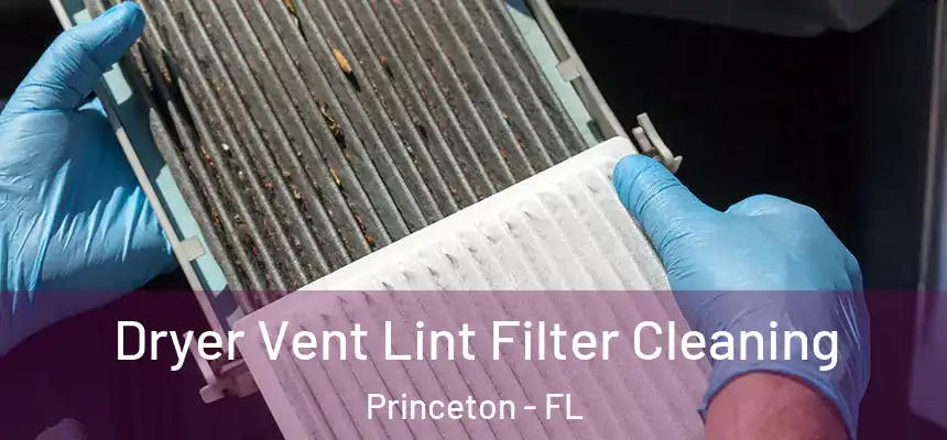 Dryer Vent Lint Filter Cleaning Princeton - FL