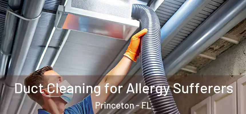 Duct Cleaning for Allergy Sufferers Princeton - FL