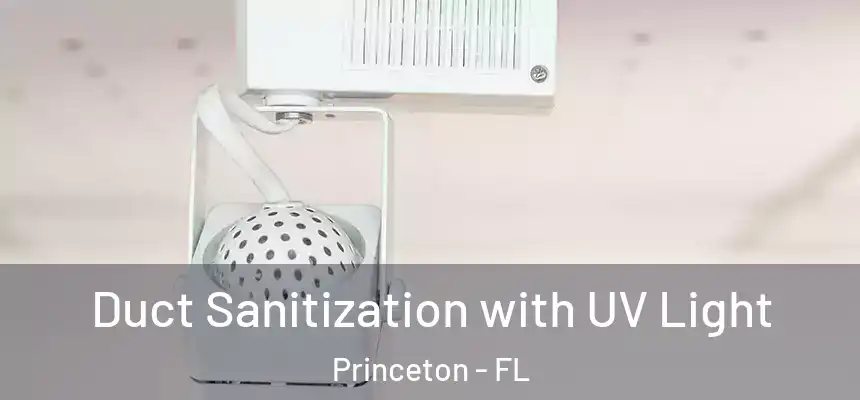 Duct Sanitization with UV Light Princeton - FL