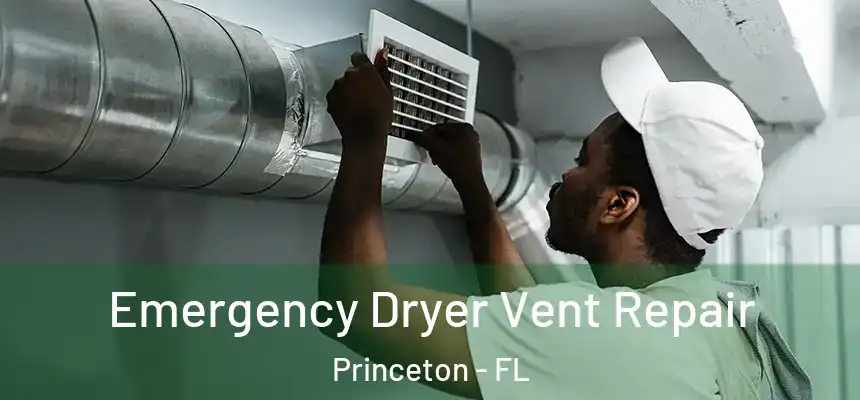 Emergency Dryer Vent Repair Princeton - FL