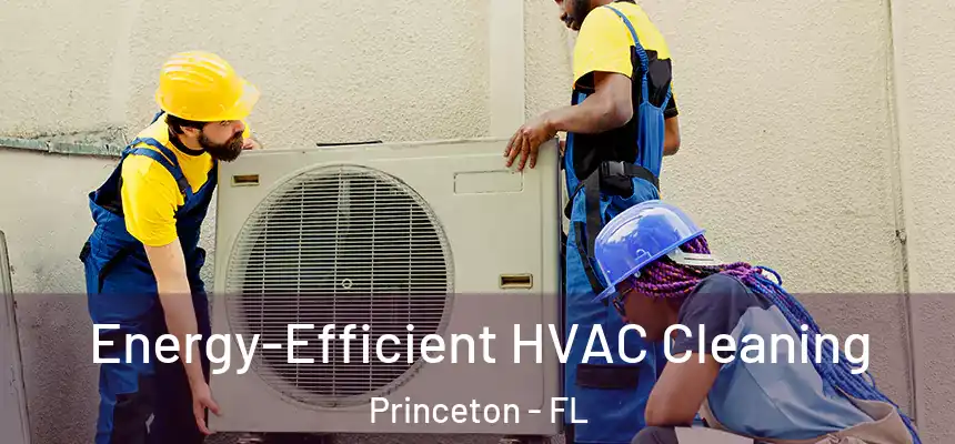 Energy-Efficient HVAC Cleaning Princeton - FL