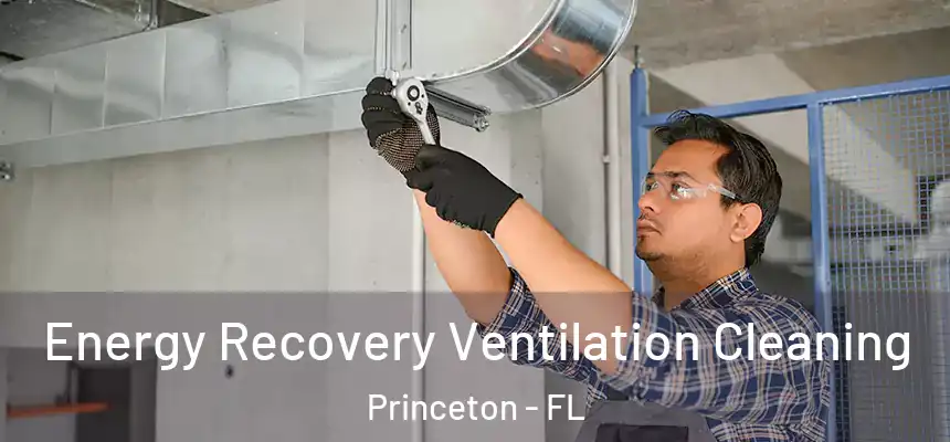  Energy Recovery Ventilation Cleaning Princeton - FL