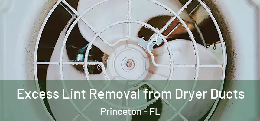 Excess Lint Removal from Dryer Ducts Princeton - FL