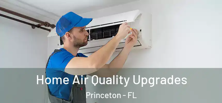 Home Air Quality Upgrades Princeton - FL