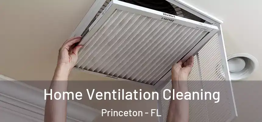 Home Ventilation Cleaning Princeton - FL