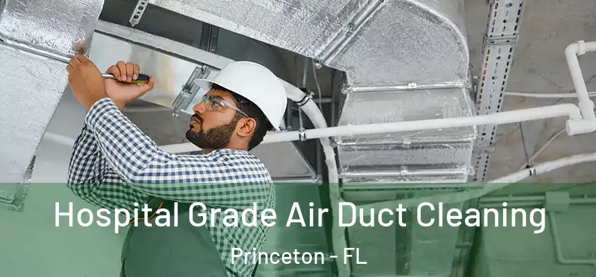 Hospital Grade Air Duct Cleaning Princeton - FL