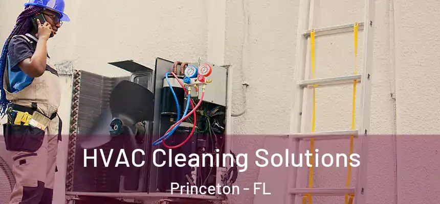  HVAC Cleaning Solutions Princeton - FL
