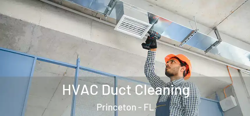 HVAC Duct Cleaning Princeton - FL