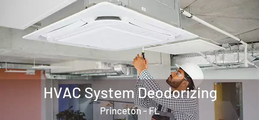 HVAC System Deodorizing Princeton - FL