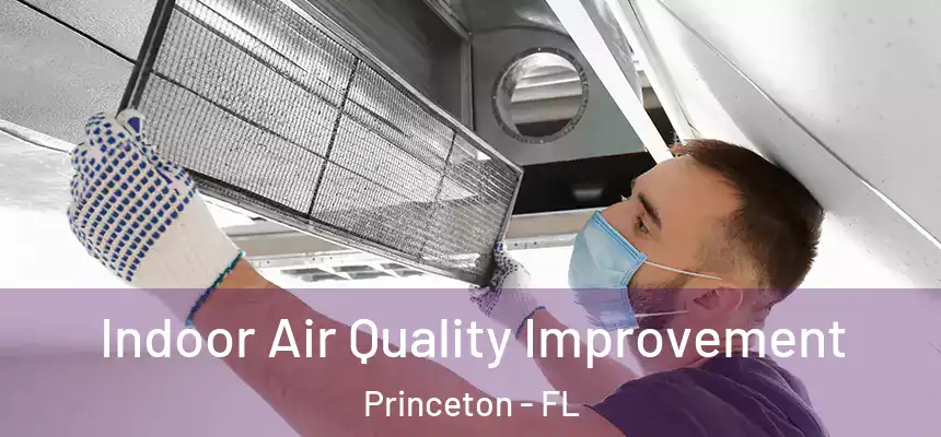 Indoor Air Quality Improvement Princeton - FL