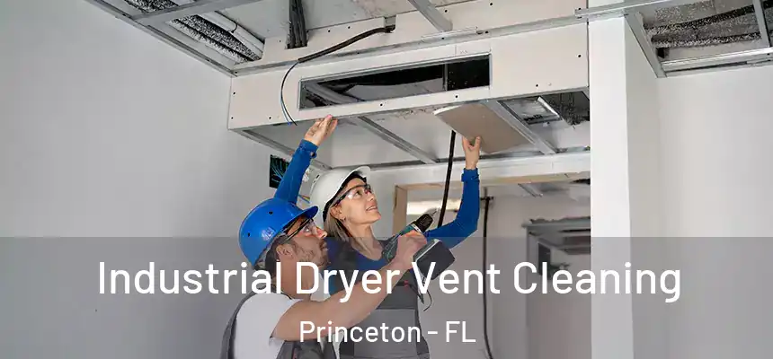 Industrial Dryer Vent Cleaning Princeton - FL