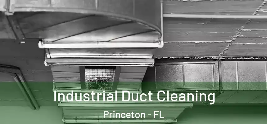 Industrial Duct Cleaning Princeton - FL