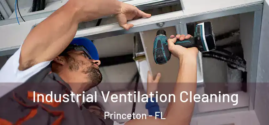 Industrial Ventilation Cleaning Princeton - FL